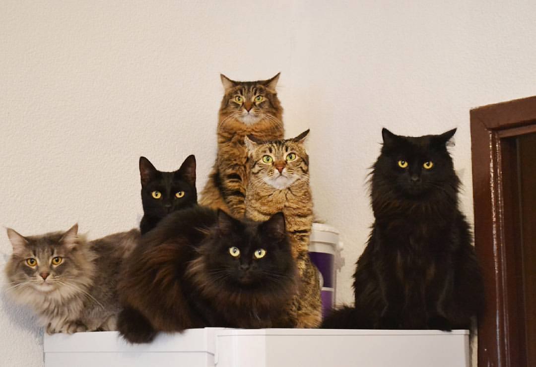 Помните в 90-е у всех были фотки с родственниками на пленку Кодак?