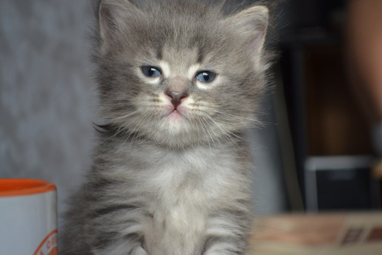 Пипец! был сегодня в налоговой: