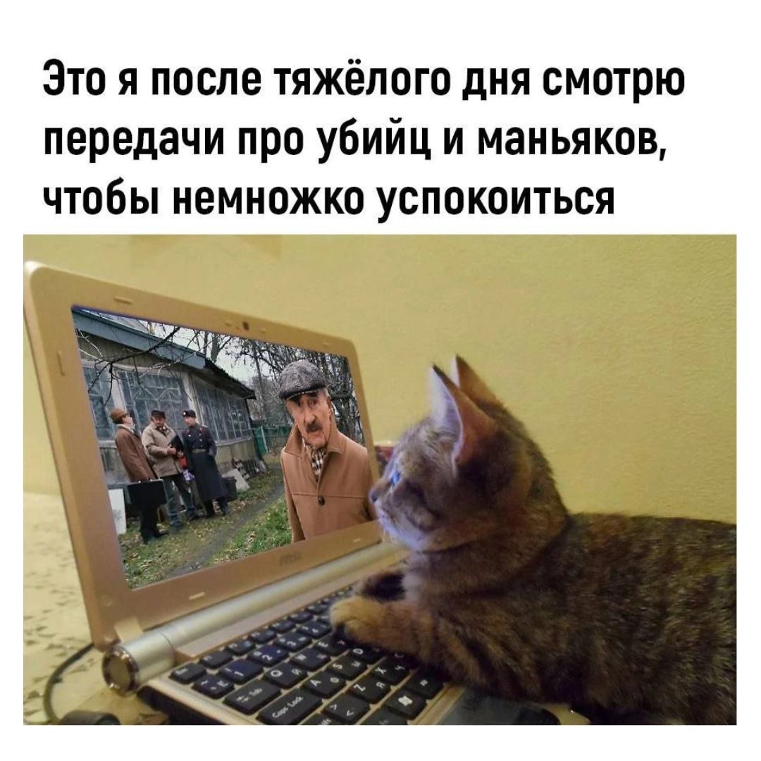 Помните пост про маньяков писал? Вот тут: https://t: