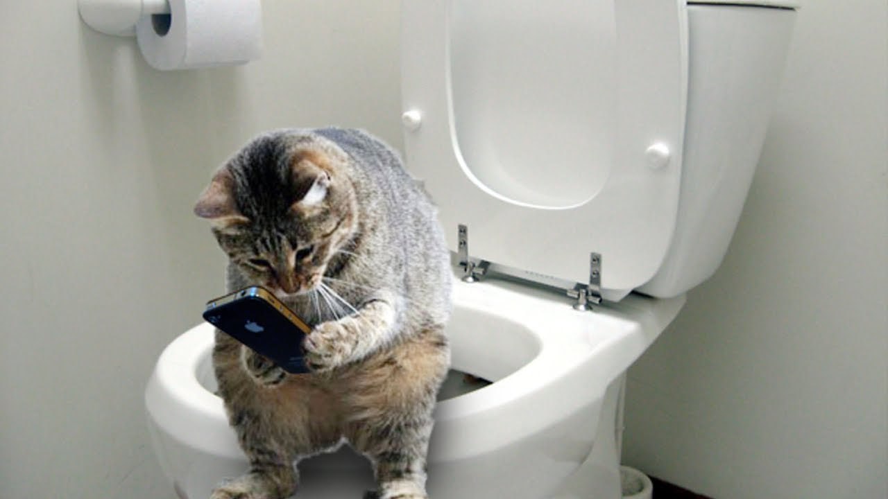 Самая вредная привычка - это когда ты делаешь себе рекламу и забываешь о самом главном!!!