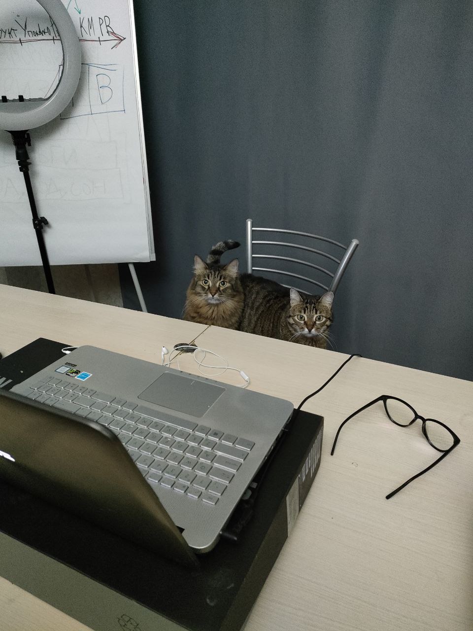 Пока я готовлюсь к эфиру для учеников: